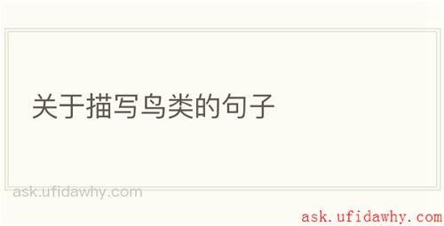 关于描写鸟类的句子