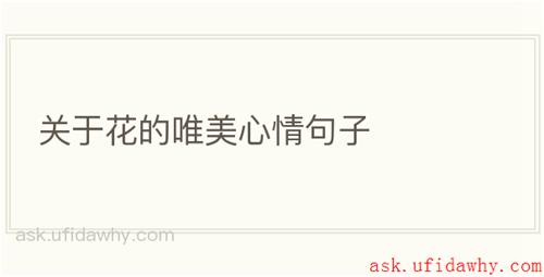 关于花的唯美心情句子