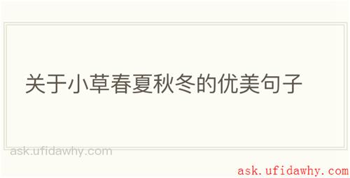 关于小草春夏秋冬的优美句子