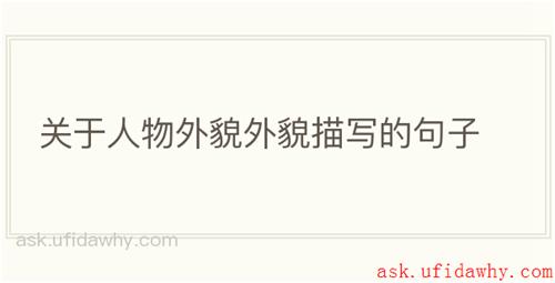 关于人物外貌外貌描写的句子