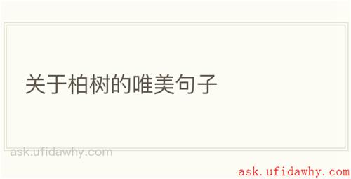 关于柏树的唯美句子