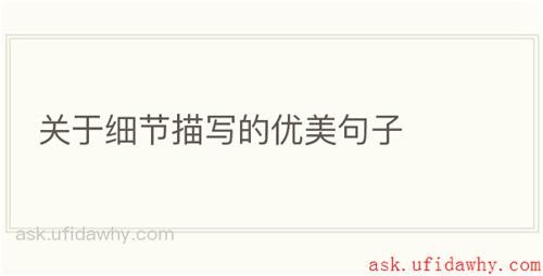 关于细节描写的优美句子