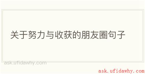 关于努力与收获的朋友圈句子