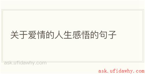 关于爱情的人生感悟的句子