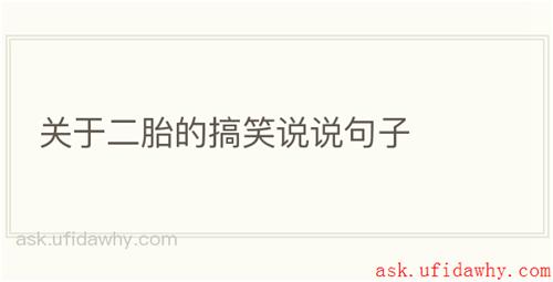 关于二胎的搞笑说说句子