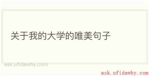 关于我的大学的唯美句子