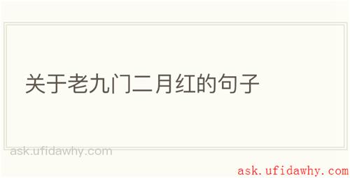 关于老九门二月红的句子