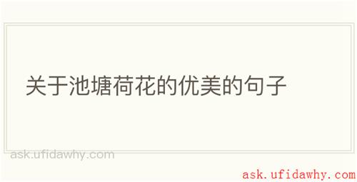 关于池塘荷花的优美的句子