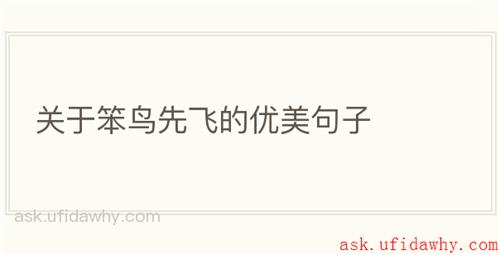 关于笨鸟先飞的优美句子