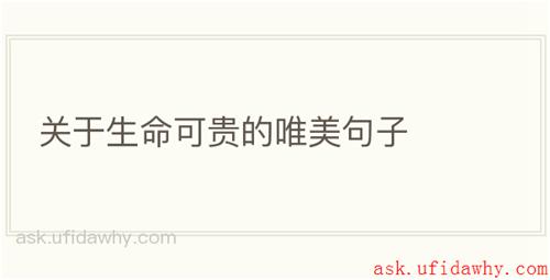 关于生命可贵的唯美句子