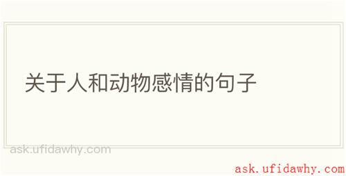 关于人和动物感情的句子