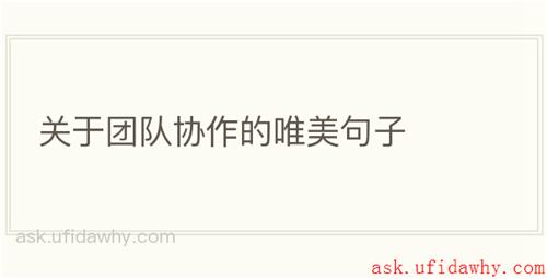 关于团队协作的唯美句子