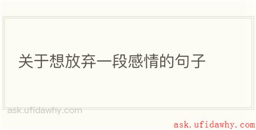 关于想放弃一段感情的句子