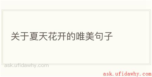 关于夏天花开的唯美句子