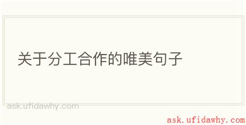 关于分工合作的唯美句子