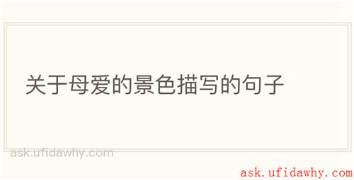 关于母爱的景色描写的句子