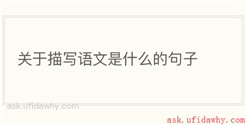 关于描写语文是什么的句子