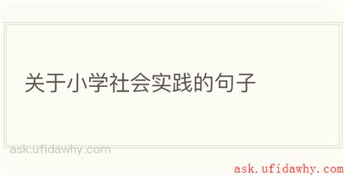 关于小学社会实践的句子