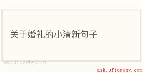 关于婚礼的小清新句子