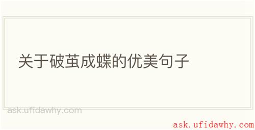 关于破茧成蝶的优美句子