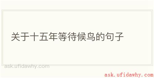 关于十五年等待候鸟的句子