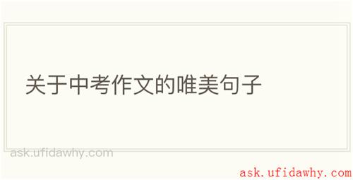 关于中考作文的唯美句子
